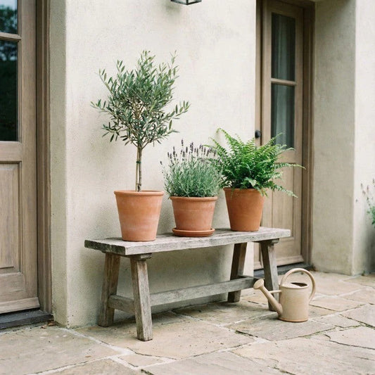Is Gardening a Hobby? Why More Americans Are Turning to Gardening for Joy, Wellness, and Growth
